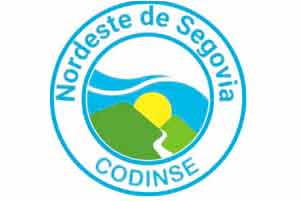 Codinse