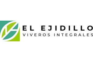 elejidillo_RESIZED